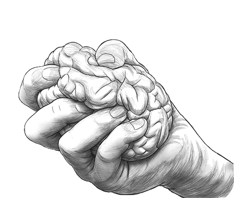 brain