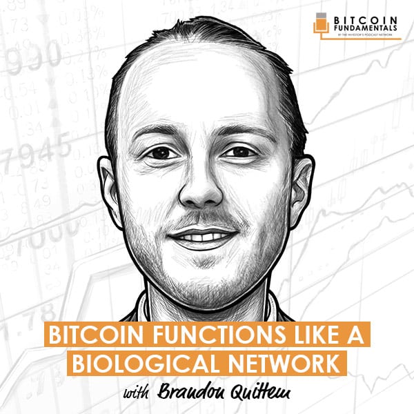 bitcoin-functions-like-a-biological-network-brandon-quittem