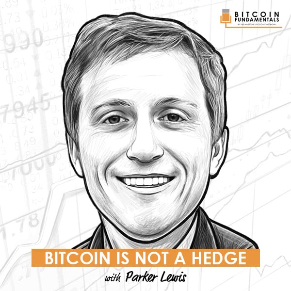 bitcoin-is-not-a-hedge-parker-lewis